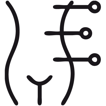 icon silhouette corps zone localisée