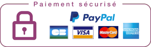 icon securite paiement